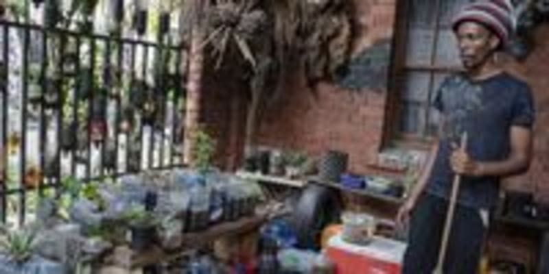 Artists Transform Historic Joburg Trial Site Into Green Oasis - Image 4