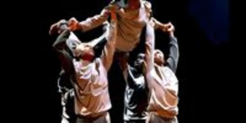 Joburg's Arts Scene Thrives Despite Water Crisis - Image 4