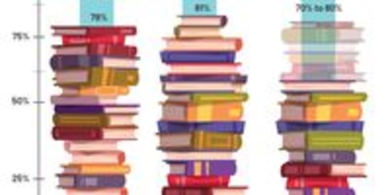 Six South African Provinces Fight Child Literacy Crisis - Image 4