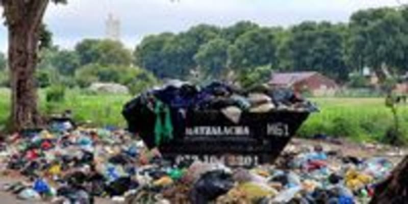 Johannesburg's Ndawo Entle Urban Farm Blooms as Beacon of Community Hope - Image 4