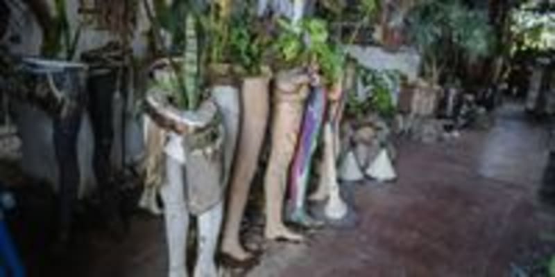 Artists Transform Historic Joburg Trial Site Into Green Oasis - Image 5