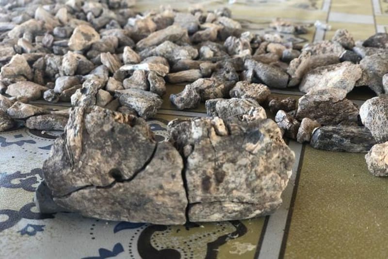 Ancient Jaw Reveals Human Cousin Thrived Across Africa