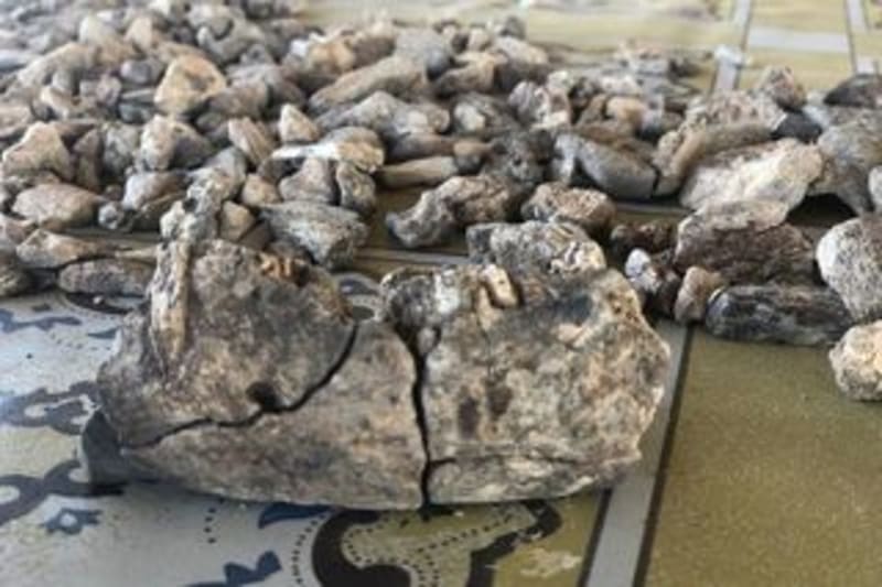 Ancient Jaw Reveals Human Cousin Thrived Across Africa - Image 3