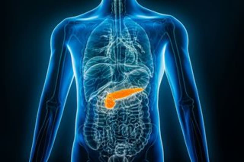 FDA Approves Home Device for Pancreatic Cancer Treatment - Image 3