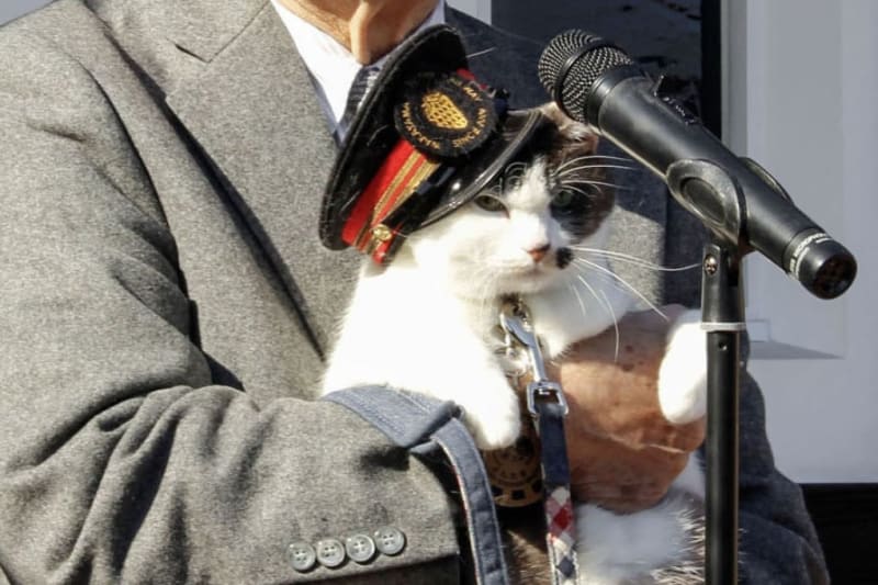 Adorable Calico Cat Yontama Becomes Japan Railway's New Stationmaster Hero - Image 2