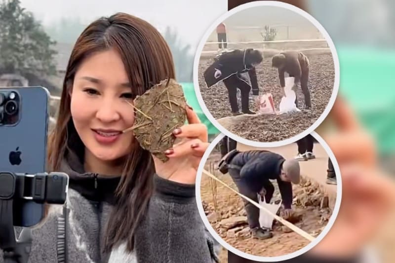 Woman's Viral Pig Feast Draws 1,000 Guests, 2M Followers - Image 2