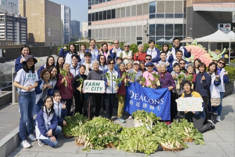 Hong Kong Law Firm Volunteers Farm with Elderly for Good - Image 2