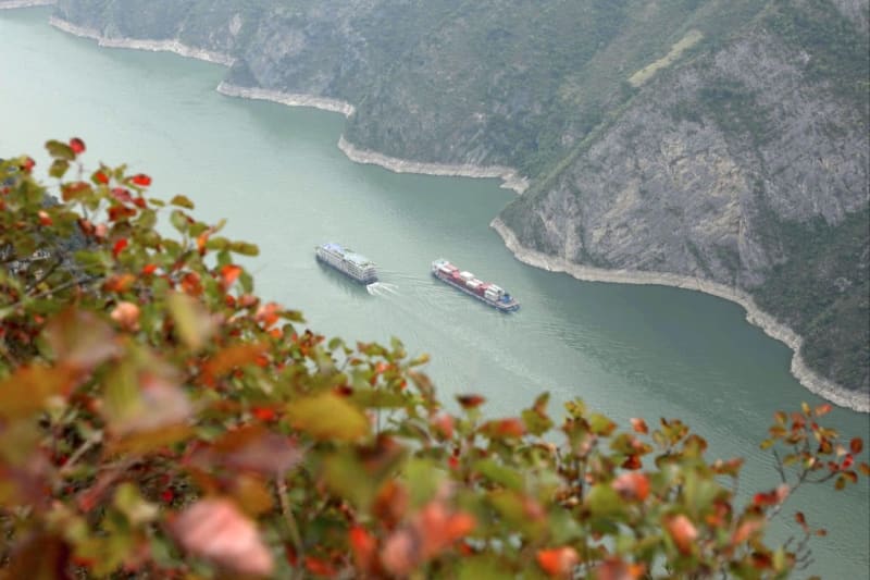 China's Yangtze Fishing Ban Restores River Ecosystem - Image 2