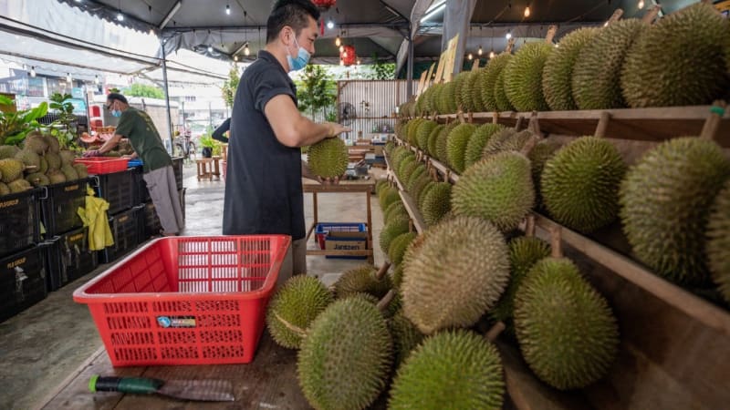 Sweet Deal: Sarawak's Durian Glut Creates Budget-Friendly Fruit Bonanza