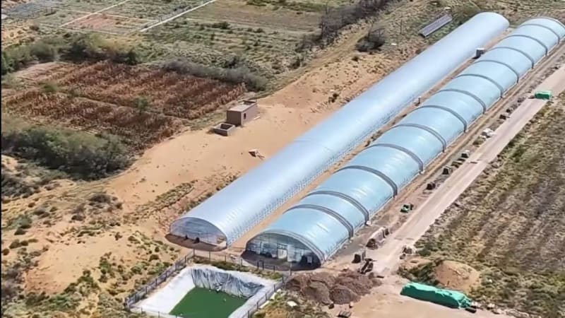 China's Innovative Blue-Green Algae Strategy Transforms Desert Landscapes