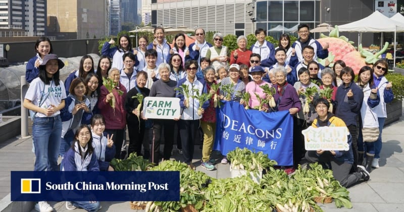 Hong Kong Law Firm Volunteers Farm with Elderly for Good