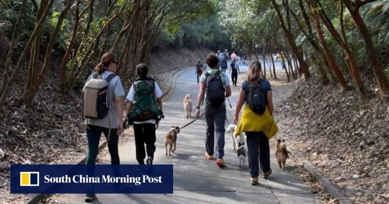 Hong Kong Cancer Survivors Find Healing Through Walking
