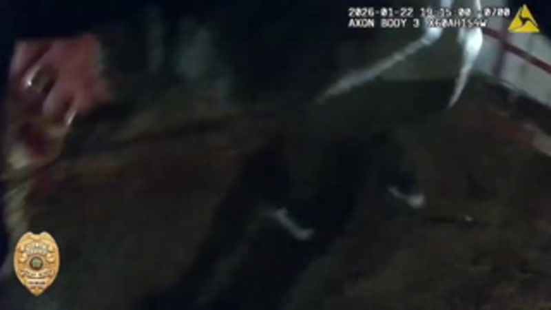 Double Amputee Veteran Conquers All 7 Continental Peaks - Image 5