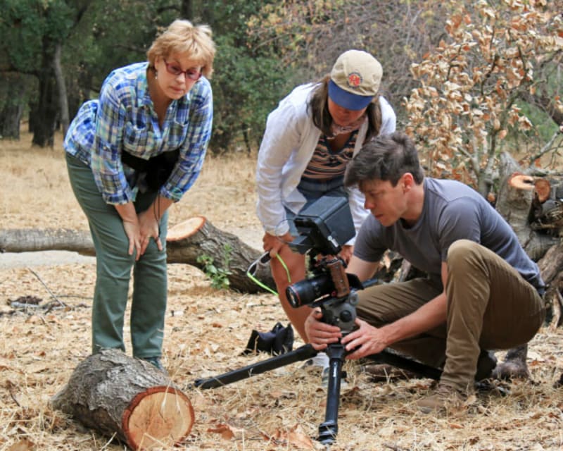Bay Area Volunteers Save 15,000 Newts From Traffic Death - Image 5