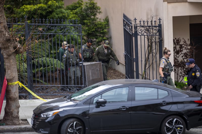 Lost Mountain Lion Safely Rescued in San Francisco - Image 3