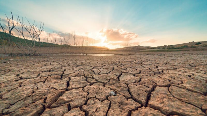Global Water Crisis: How Earth's Continents Are Losing Precious Resources and What We Can Do
