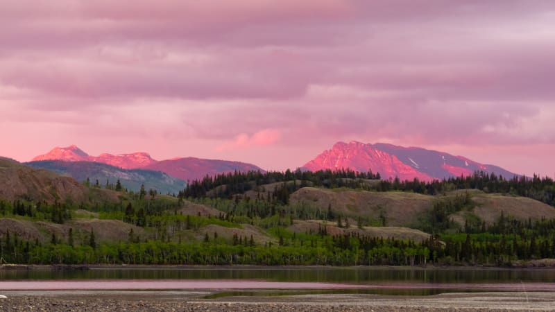 Canada Could Plant Trees to Remove 5X Its Annual Emissions - Image 2