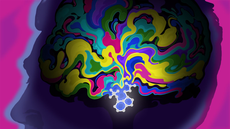 Scientists Reveal How Psychedelics May Heal PTSD in Hours - Image 2