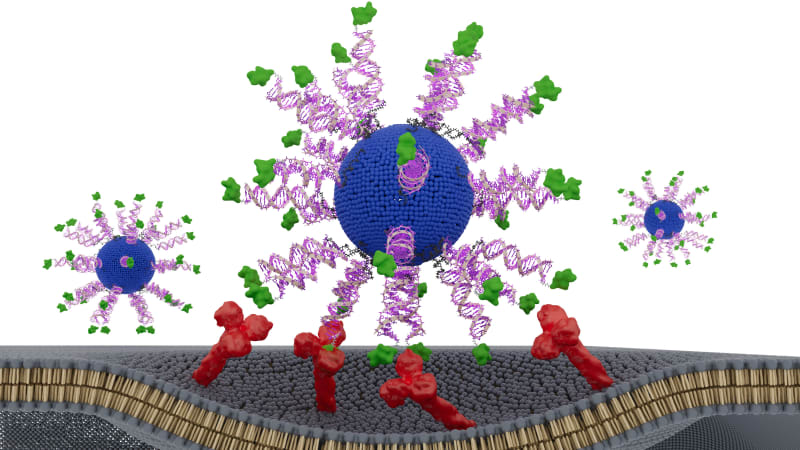 New HPV Cancer Vaccine Shows Promise in Early Lab Tests - Image 2