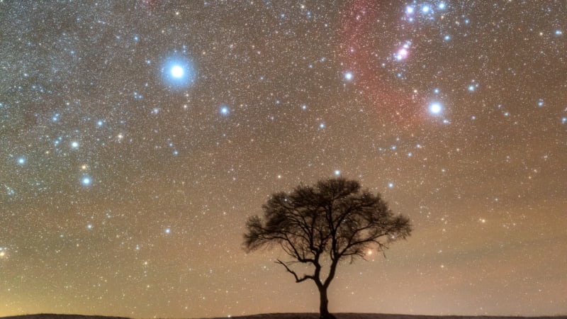 Orion's Red, White & Blue Stars Light Up Winter Nights - Image 5