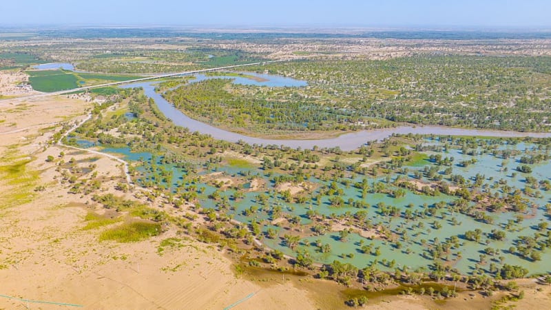 China's 66 Billion Trees Turn Desert Into Carbon Sink - Image 2