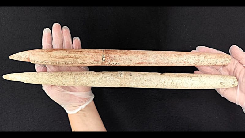 Brazil's 5,000-Year-Old Harpoons Reveal Ancient Whale Hunters - Image 2