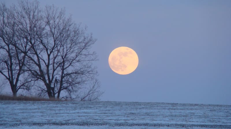 January's Wolf Supermoon: A Celestial Spectacle Illuminating Winter Skies
