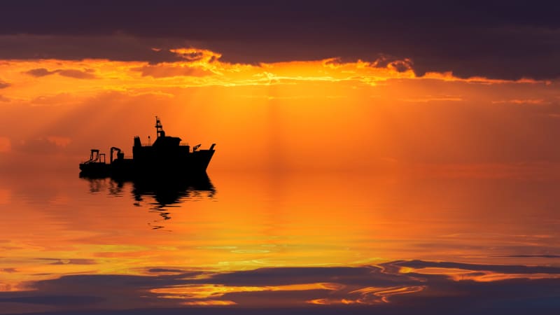 70,000-Year-Old Hand Art Rewrites Human History - Image 3