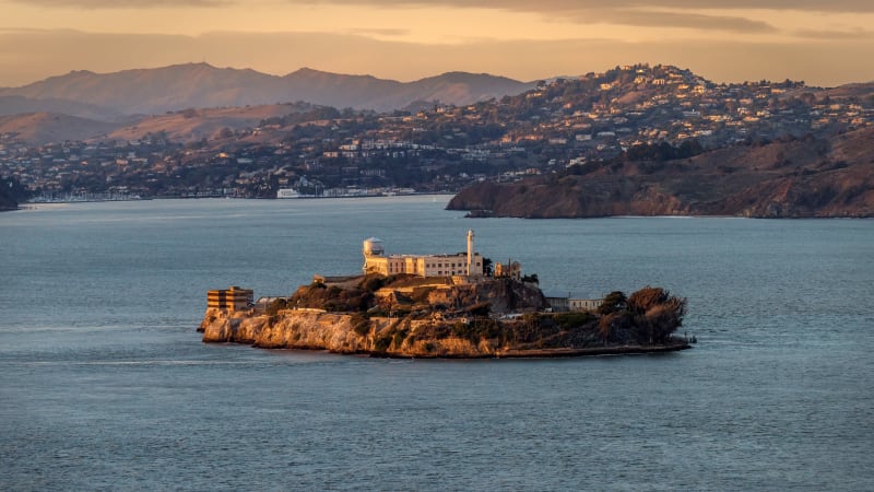 Coyote Swims to Alcatraz Island for First Time Ever - Image 4