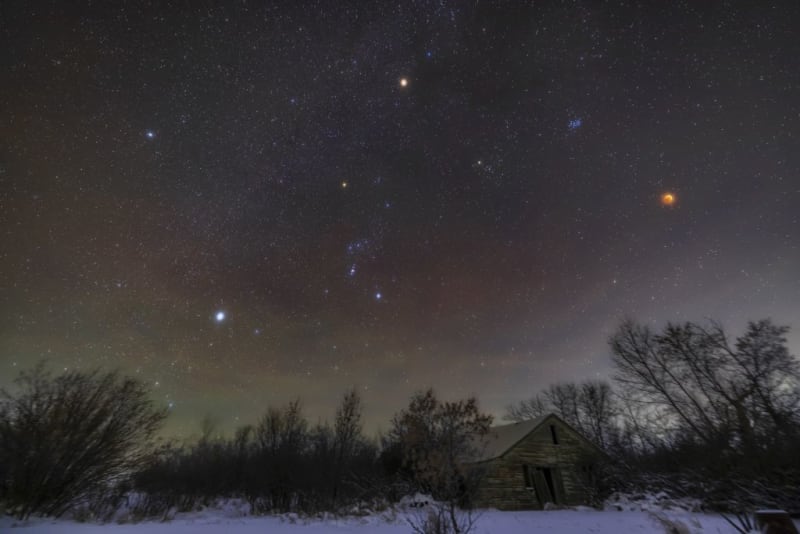 Two Cosmic Dogs Light Up Winter Skies This Week - Image 5