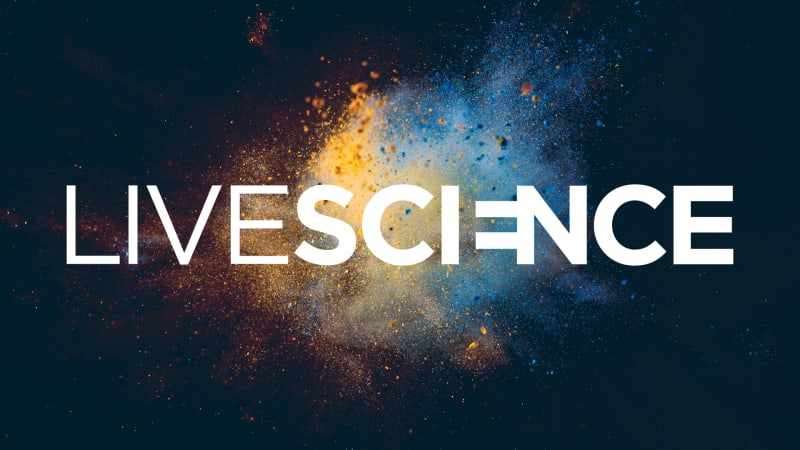 Scientists Solve Shoe Squeak Mystery With Tiny Lightning - Image 3