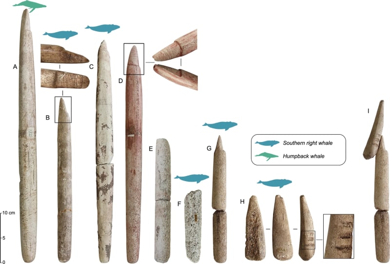 Brazil's 5,000-Year-Old Harpoons Reveal Ancient Whale Hunters - Image 4
