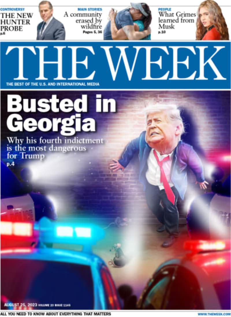 Roadkill Becomes Science Tool, Spares Live Animal Testing - Image 3