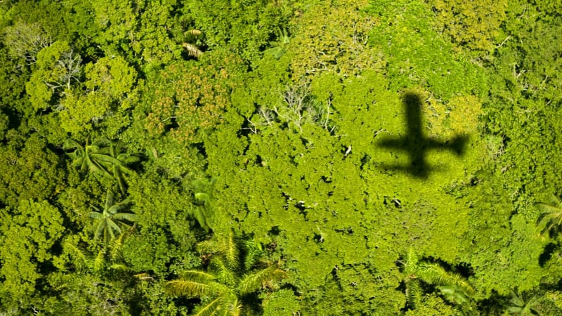 Indigenous Groups Win Voice in Archaeological Mapping - Image 2