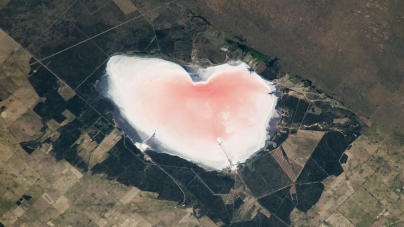 Pink Heart-Shaped Salt Lake Spotted from Space Station