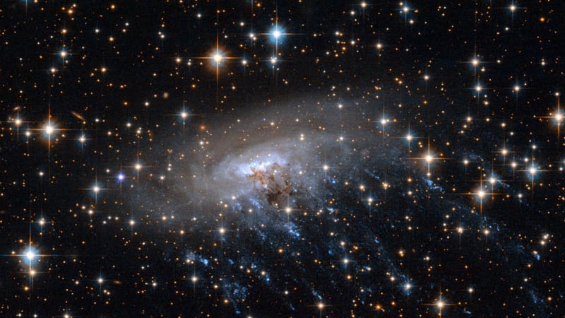 James Webb Telescope Captures 'Cosmic Jellyfish' Galaxy