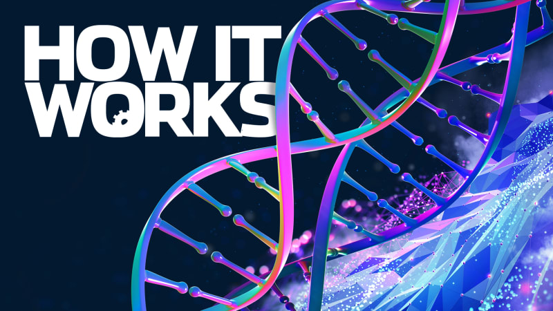 Scientists Solve Shoe Squeak Mystery With Tiny Lightning - Image 5