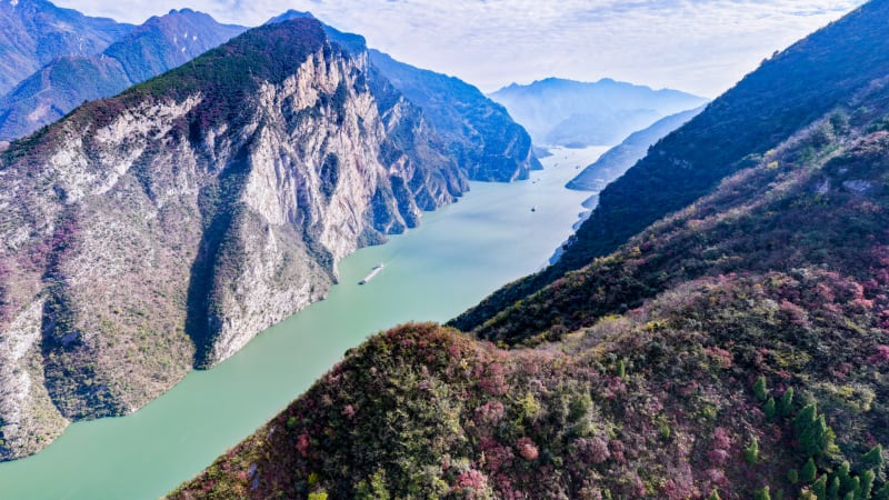 China Bans Fishing on Yangtze River, Species Bounce Back - Image 2