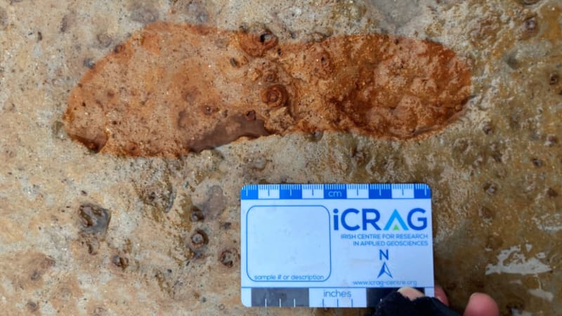 Scottish Storm Reveals 2,000-Year-Old Footprints - Image 2