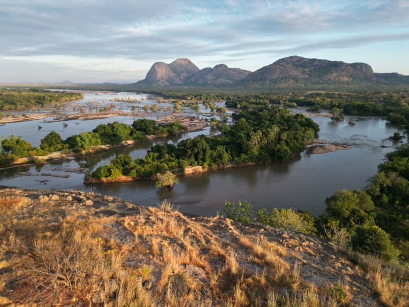 Mozambique Honey Hunters and Birds Share Secret Dialects - Image 4
