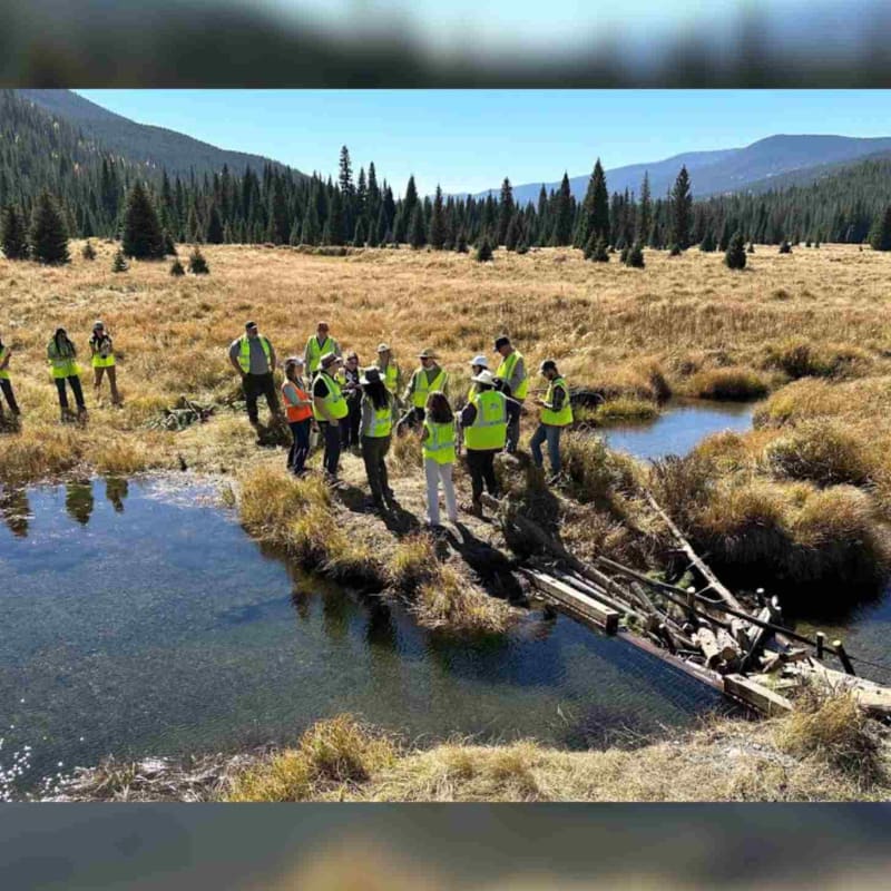 Team Builds 29 Dams to Save Colorado Valley Ecosystem - Image 2