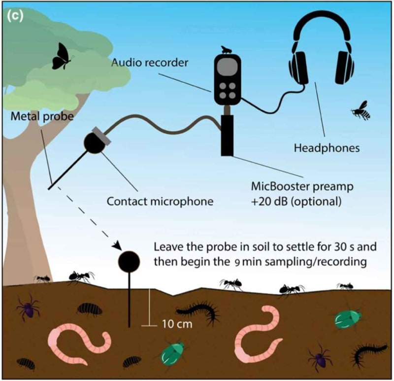 Scientists Use Underground Microphones to Monitor Soil Health - Image 2