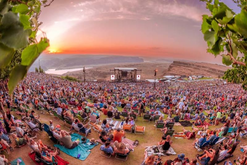 Dave Matthews Band to Plant 1 Million More Trees on Tour - Image 4