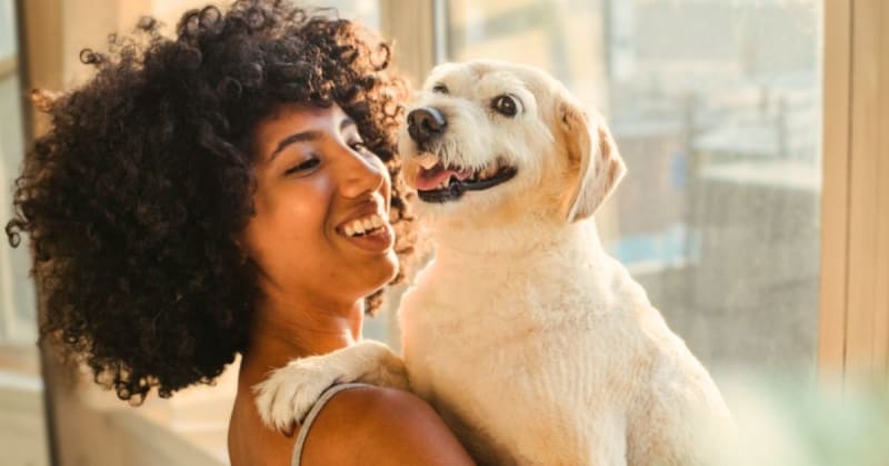 15 Minutes With a Dog Cuts Stress by 33%