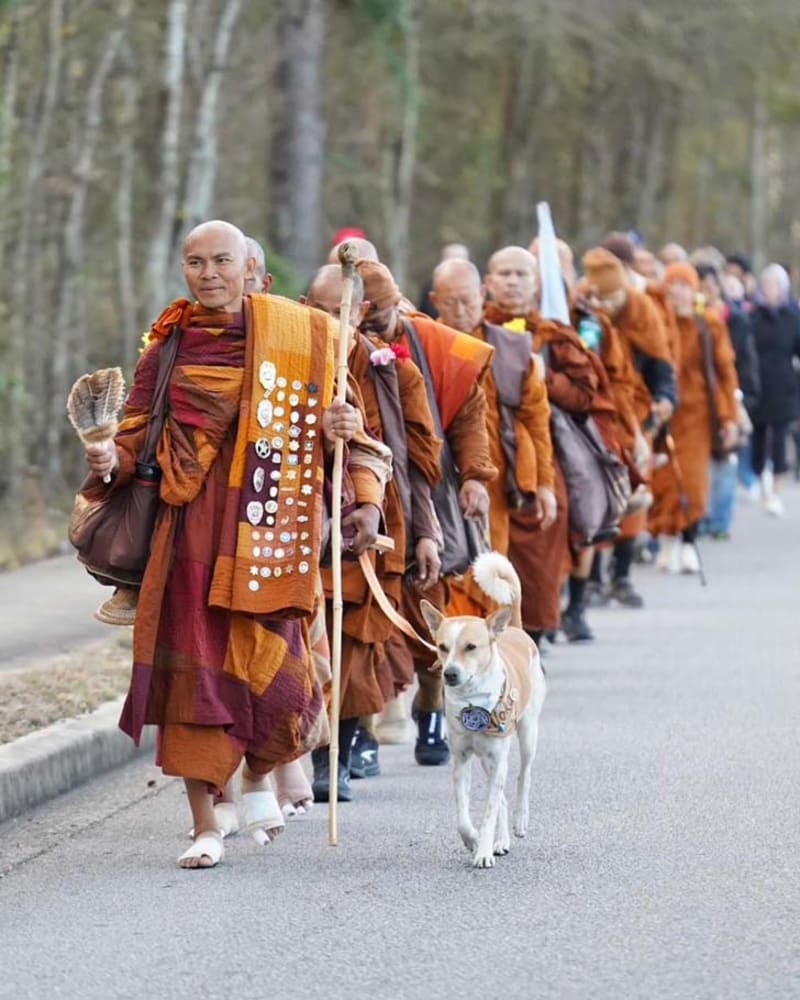 10,000 Greet Buddhist Monks Nearing End of 2,300-Mile Walk - Image 2