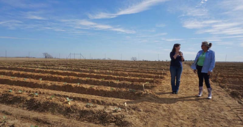 Texas Coal Mine Transforms Into Garden Feeding 3,000 Yearly