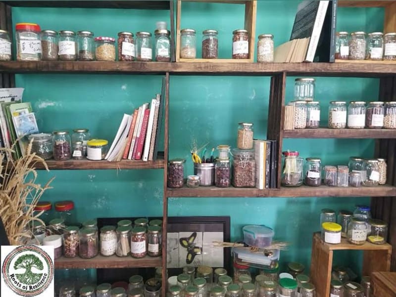 Palestinian Seed Library Preserves Heritage Across Borders - Image 2