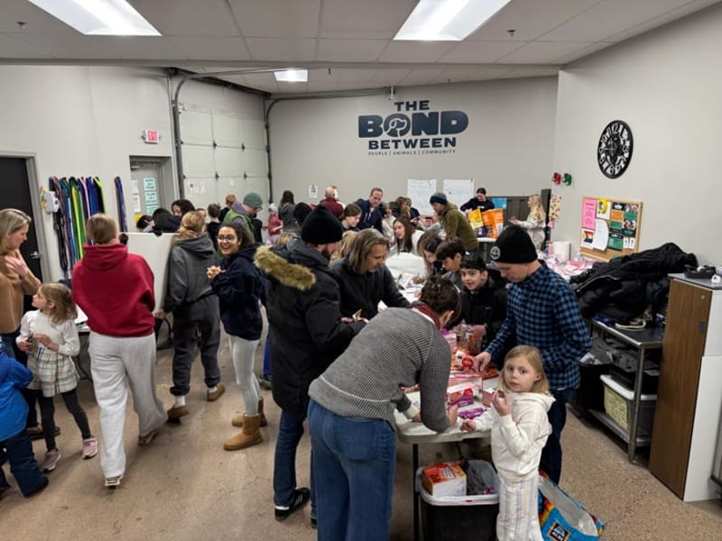 Minneapolis Shelter Cares for Pets After Family Detentions - Image 3