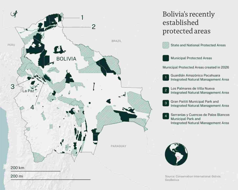 Bolivia Protects 2.2M Acres of Amazon With Local Leadership - Image 2