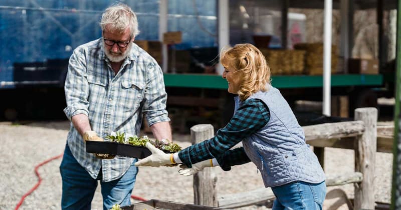 California's Farm-Centered Neighborhoods Boost Food Security